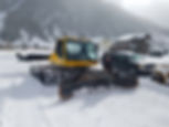 Bumper and Snow Cat.jpeg