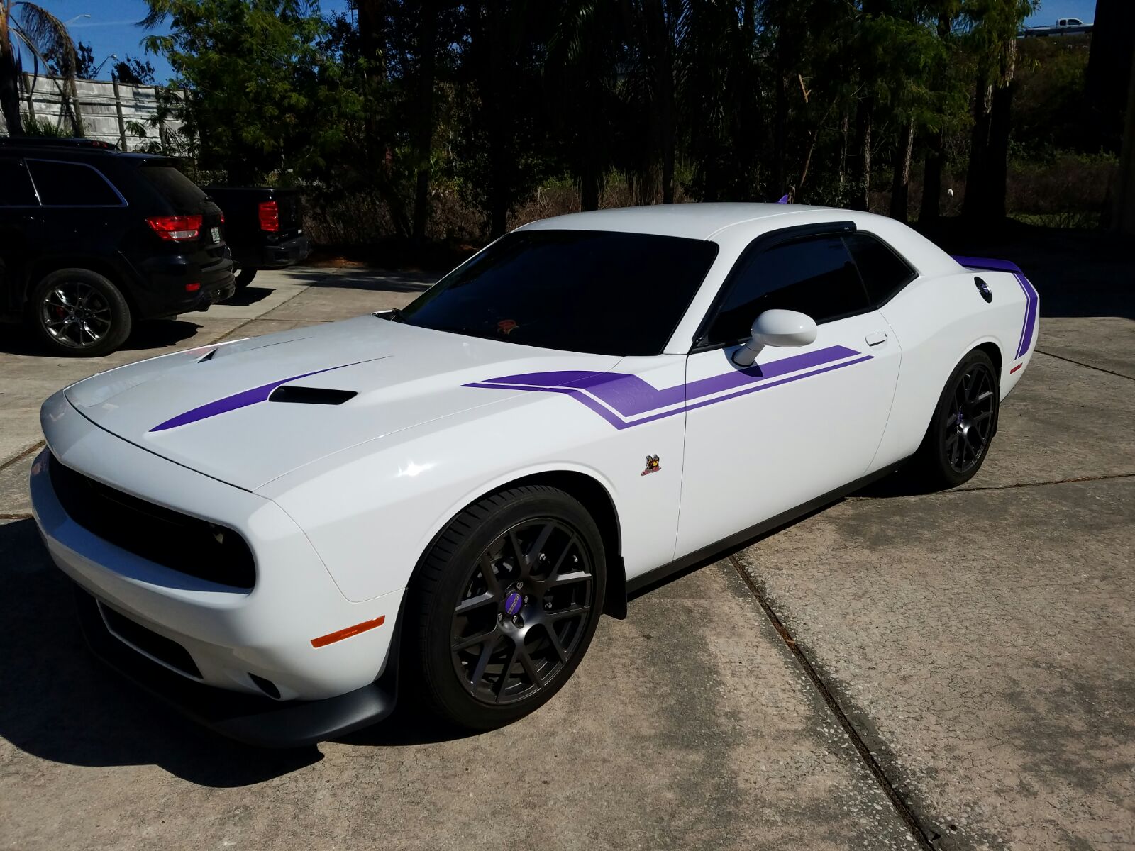 Dodge Challenger strips
