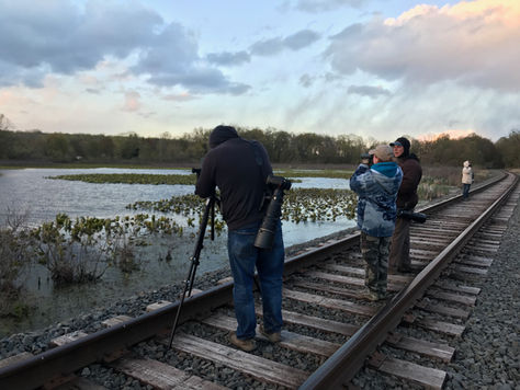 World Series of Birding 2026