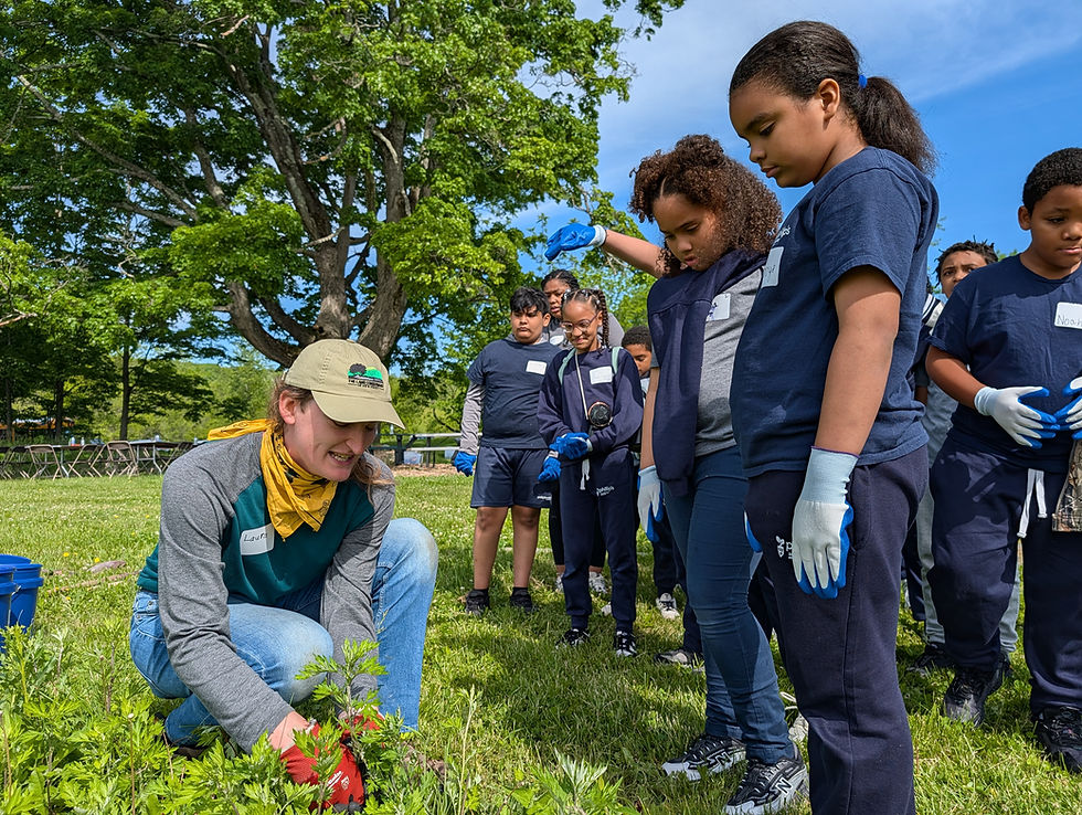 Outdoor Ambassadors at South Branch Preserve