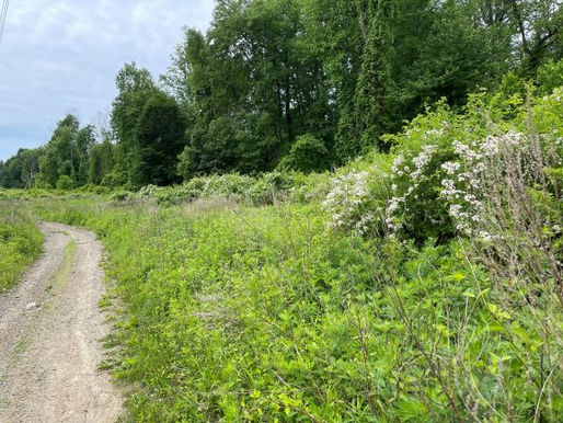 Montville's Much-Needed Greenway Grows