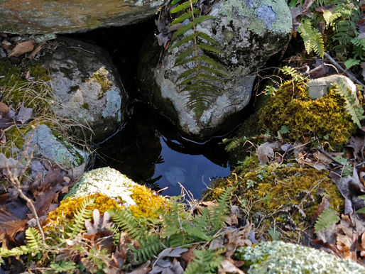 78 Acres Added to Yards Creek Preserve