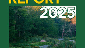 Our 2025 Annual Report