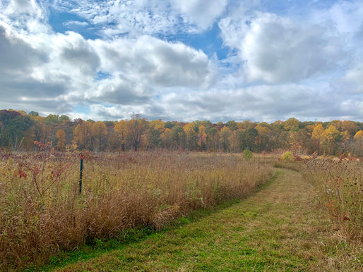 South Branch Preserve Named One of NJ's "Great Places"