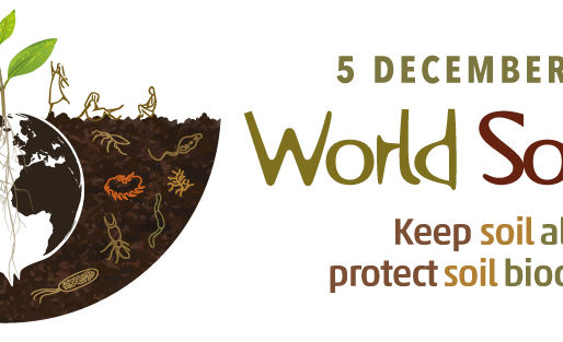 World Soil Day