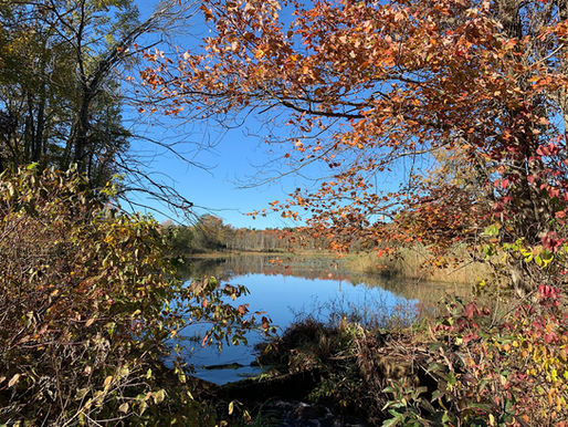 New Addition to West Brook Preserve