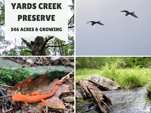 Protecting the Delaware Watershed at Yards Creek