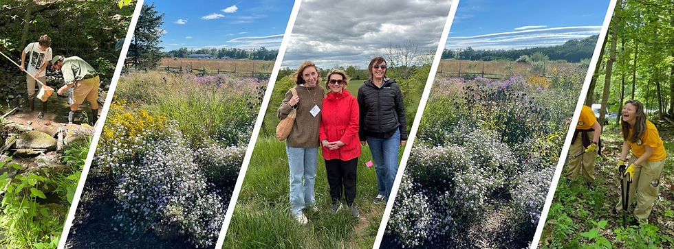 Trusted NJ Land Conservation Organizations Unite
