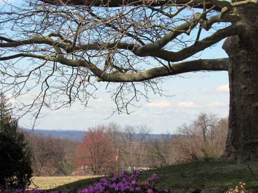 19 More Acres of Open Space in Livingston