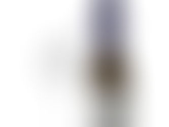 青葉の美しい季節となりました゚*。(,,・д・)。*゚