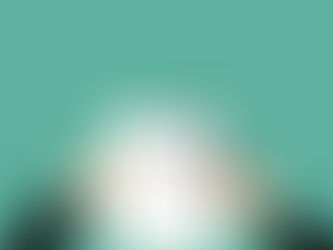 Sight Unseen / No Home Inspection