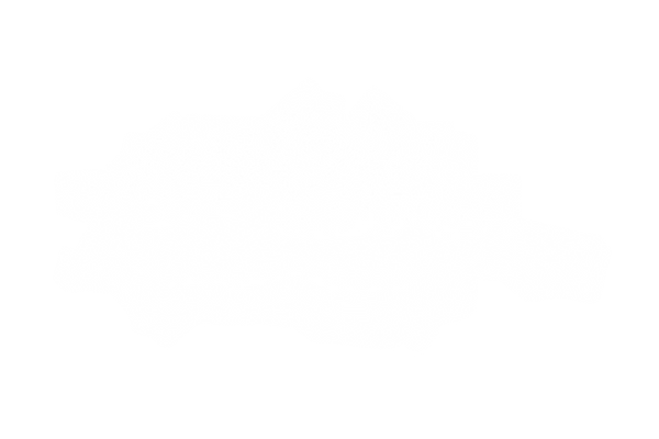 8918191.png