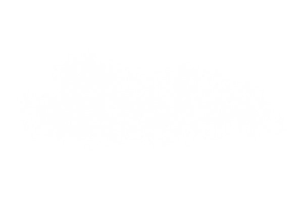 8918181.png