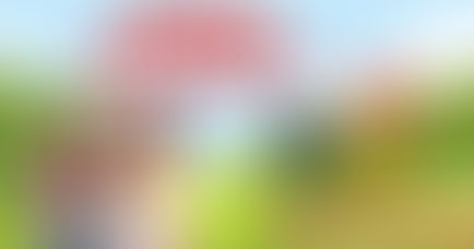 Міжнародний день мінної просвіти