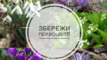 Збережи первоцвіт!
