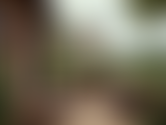 Discover The Castle Inn: Food Near Framlingham Castle