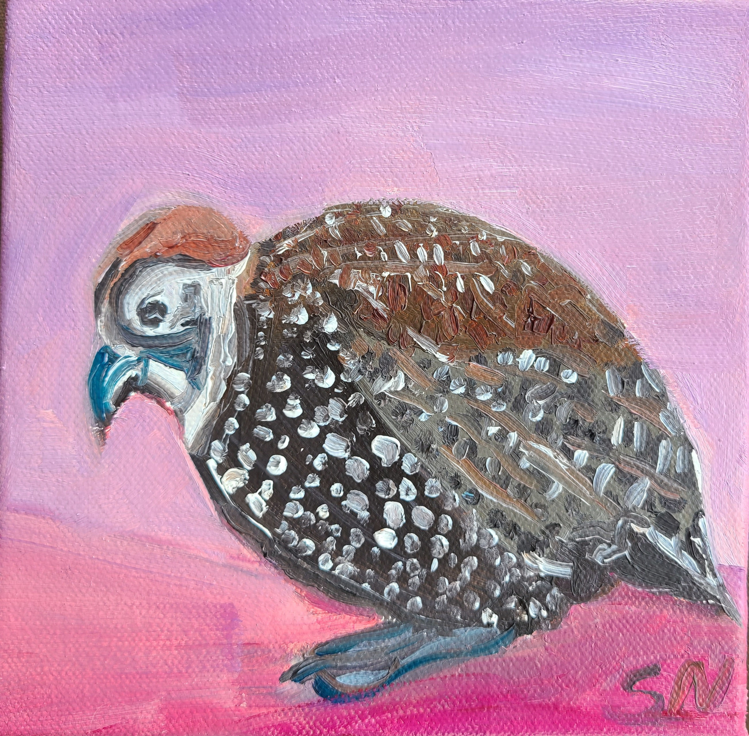 Quail 6 x 6