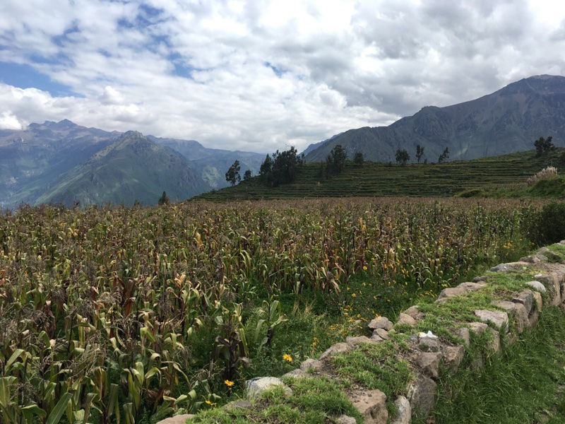 31 mars et 1er avril : Canon del Colca