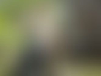 ‘Jurassic World’ Teaser Utilizes Iconic ‘Jurassic Park’ Moment