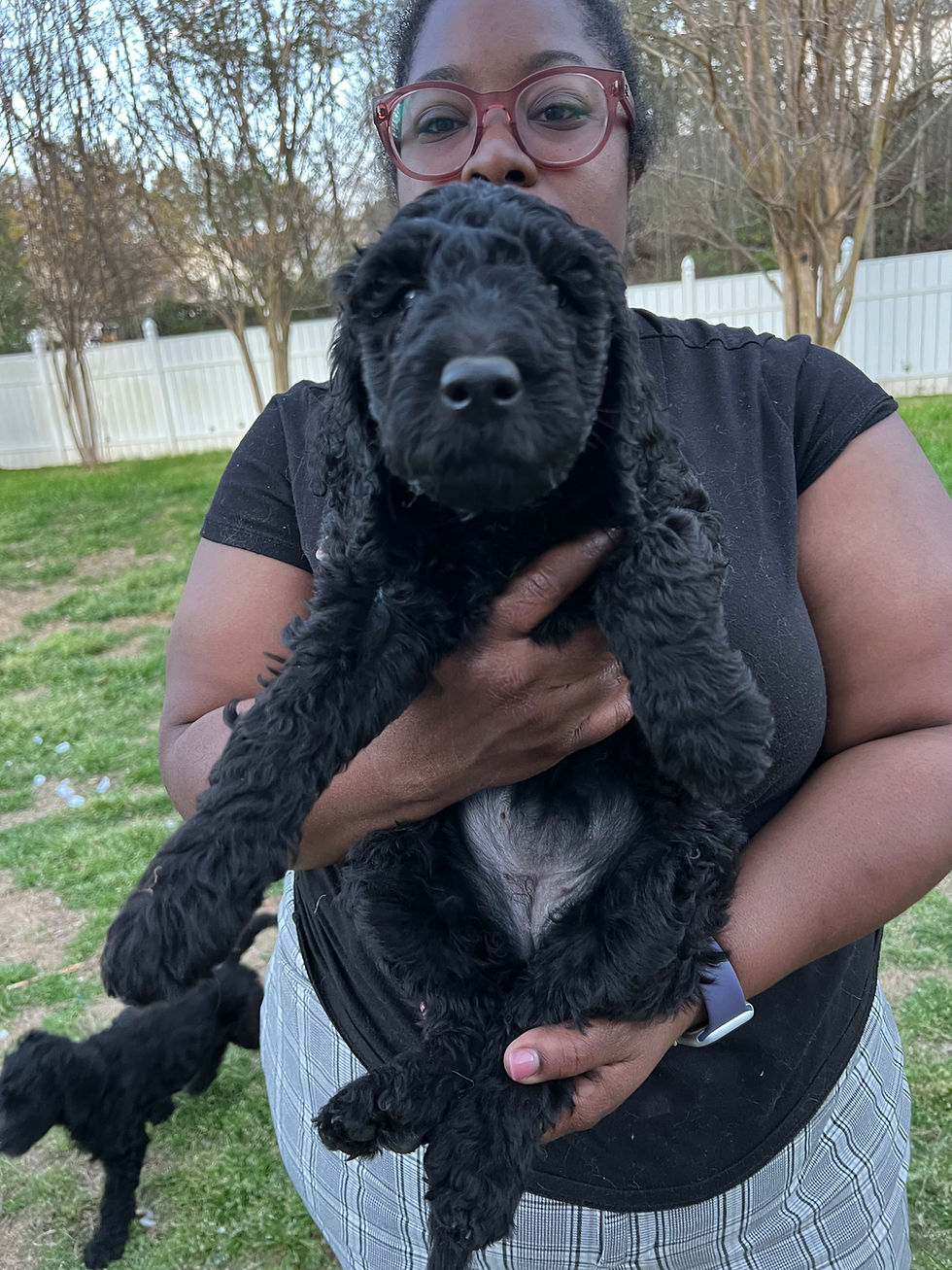 Thumbnail: Kissy, F(ADOPTED)