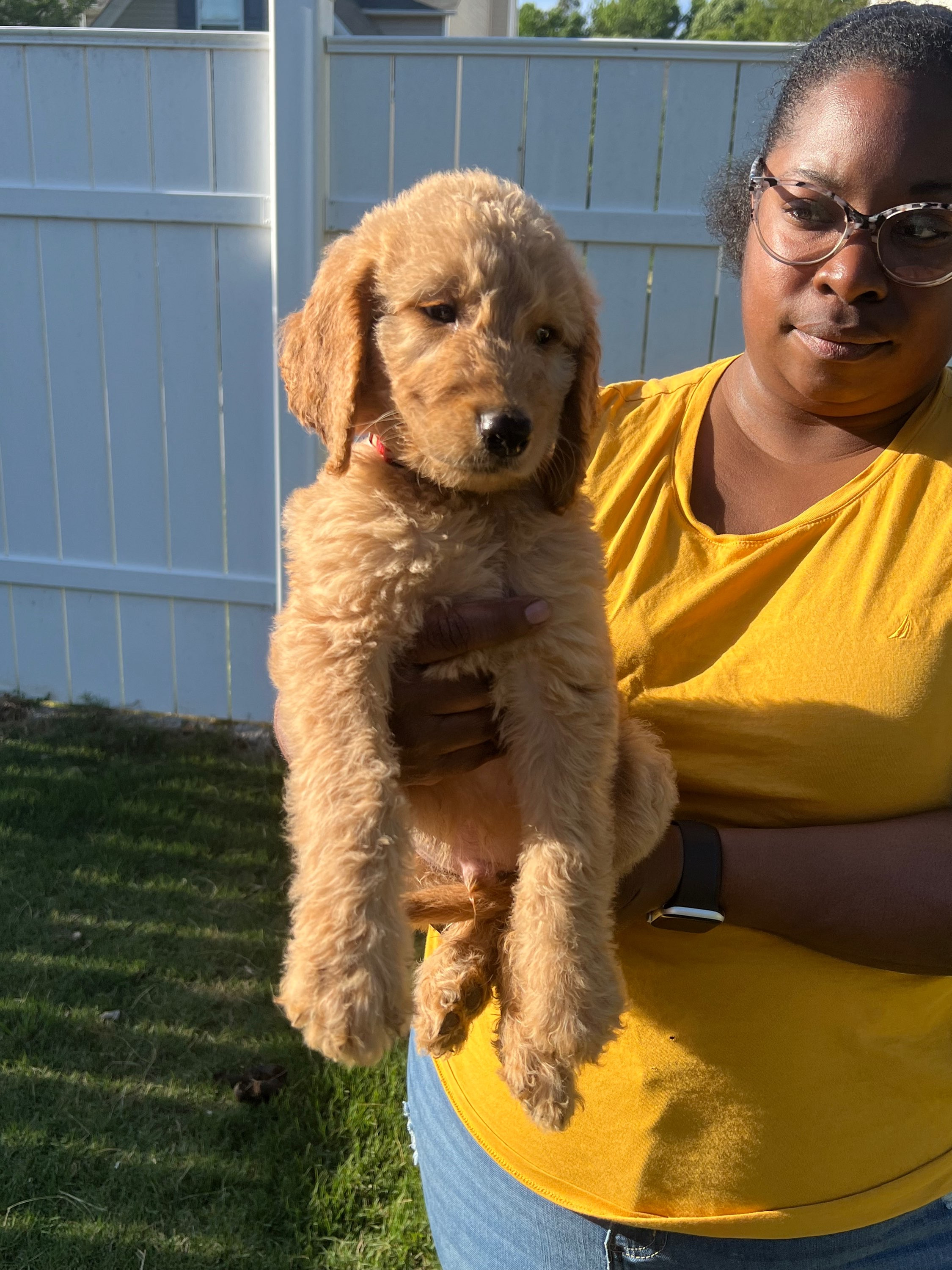 Red Male(ADOPTED)