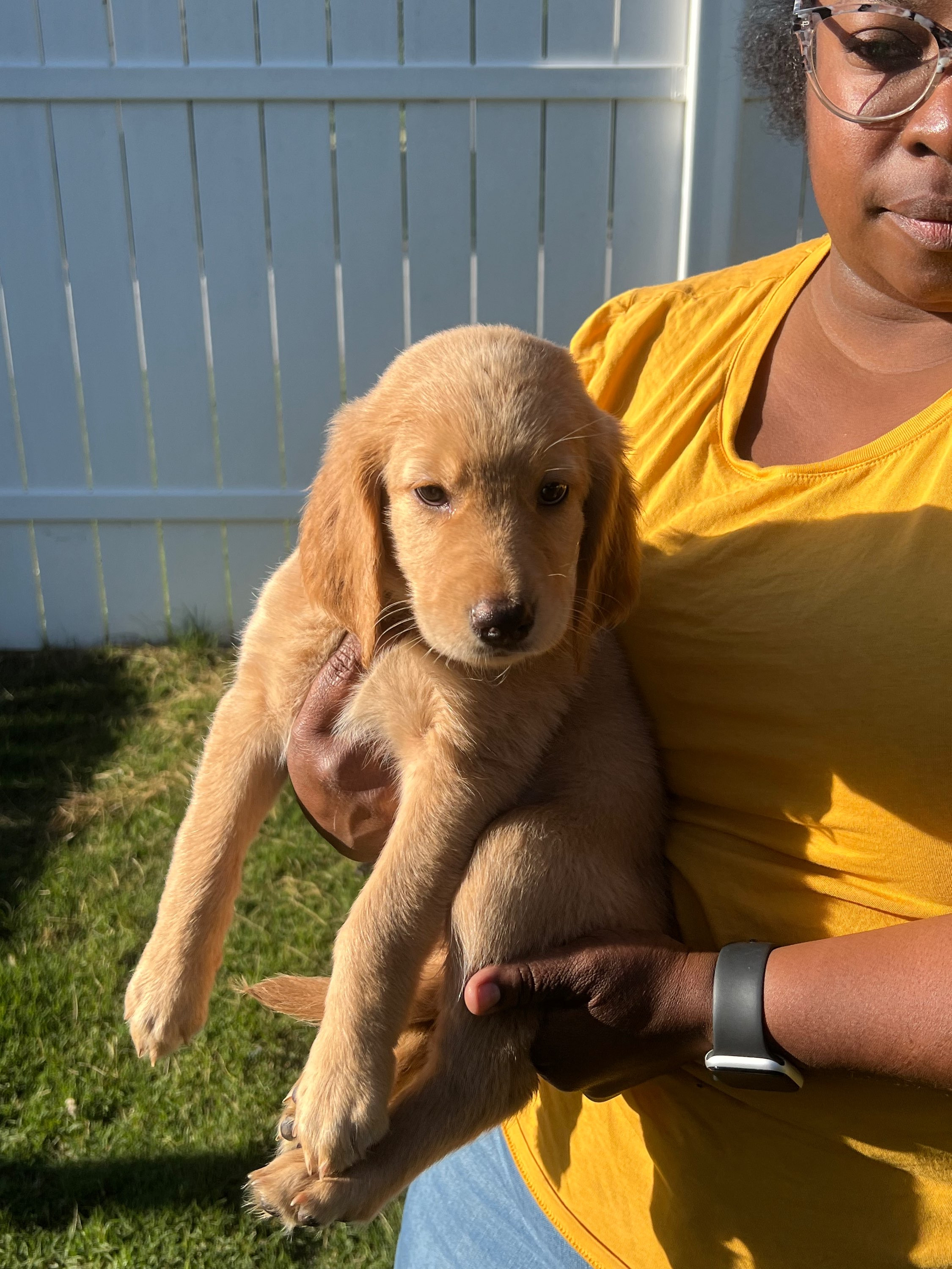 Light Pink Female(ADOPTED)
