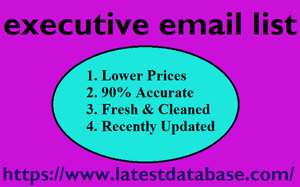 It's Definitely Executive Email List content media