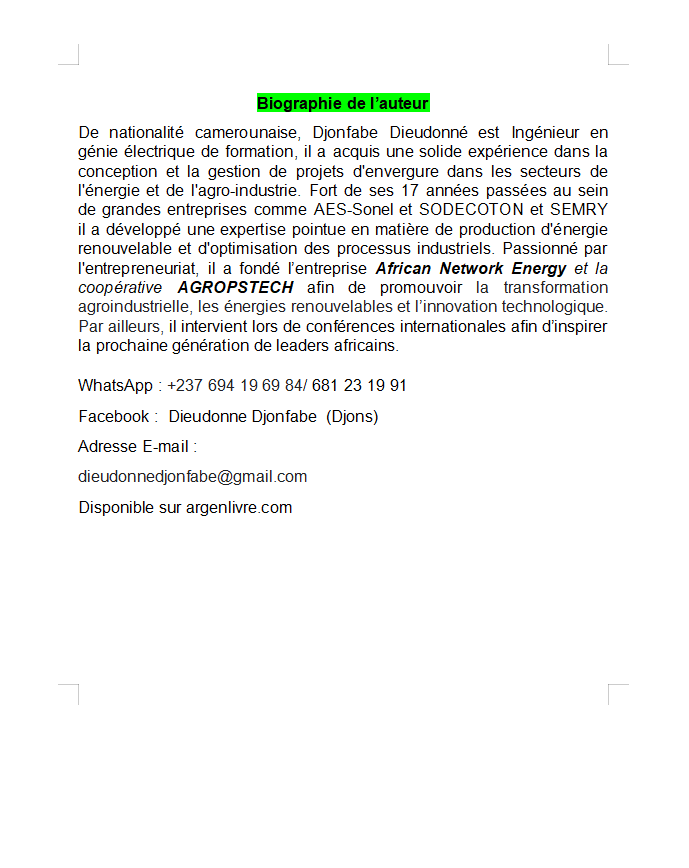 Thumbnail: Quand le salaire ne suffit plus - DJONFABE Dieudonné