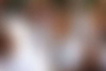 L'histoire de Toto ...