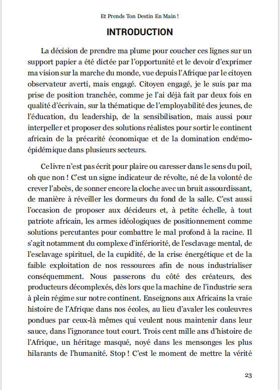 Miniature : Afrique, Réveille-Toi Et Prends Ton  Destin En Main - Dr LAURENT COMBOIGO