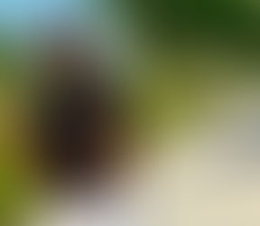 !!  1 Idée Business : Afritude !!