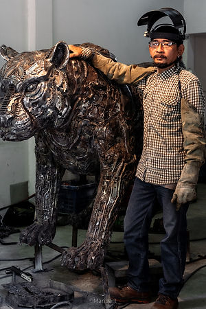vichitr tiger-11.jpg