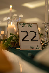 Vitavenir 28.01.23-72.JPG