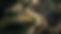 Gemini_Generated_Image_y9s1czy9s1czy9s1.png
