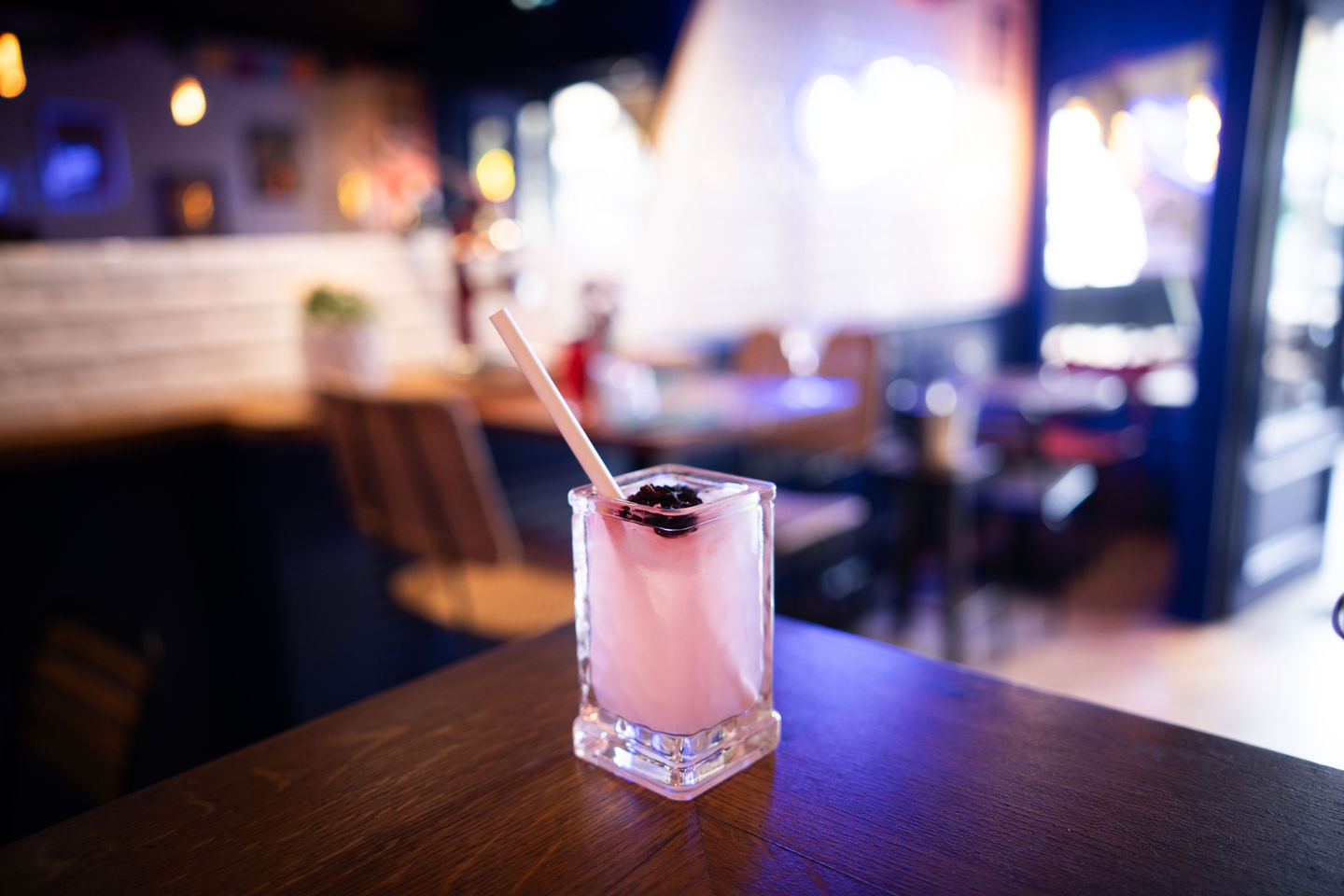 Paloma chez Casa Frida