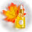 Imej kecil: Essence
