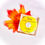 Imej kecil: Sunscreen