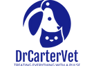 Transparent Logo_DrCarter (1).png