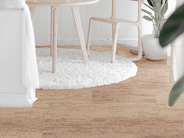 Glacier Collection by Voxflor