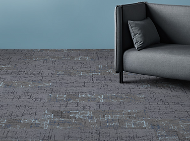 Spectrum Collection by Voxflor