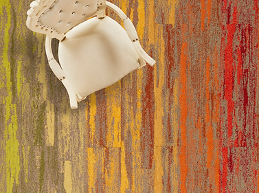 Season Collection by Voxflor