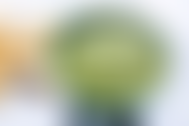 Tomatillo Salsa Verde 