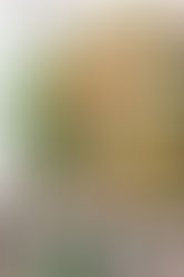 Vegan Potato Salad with Herbs