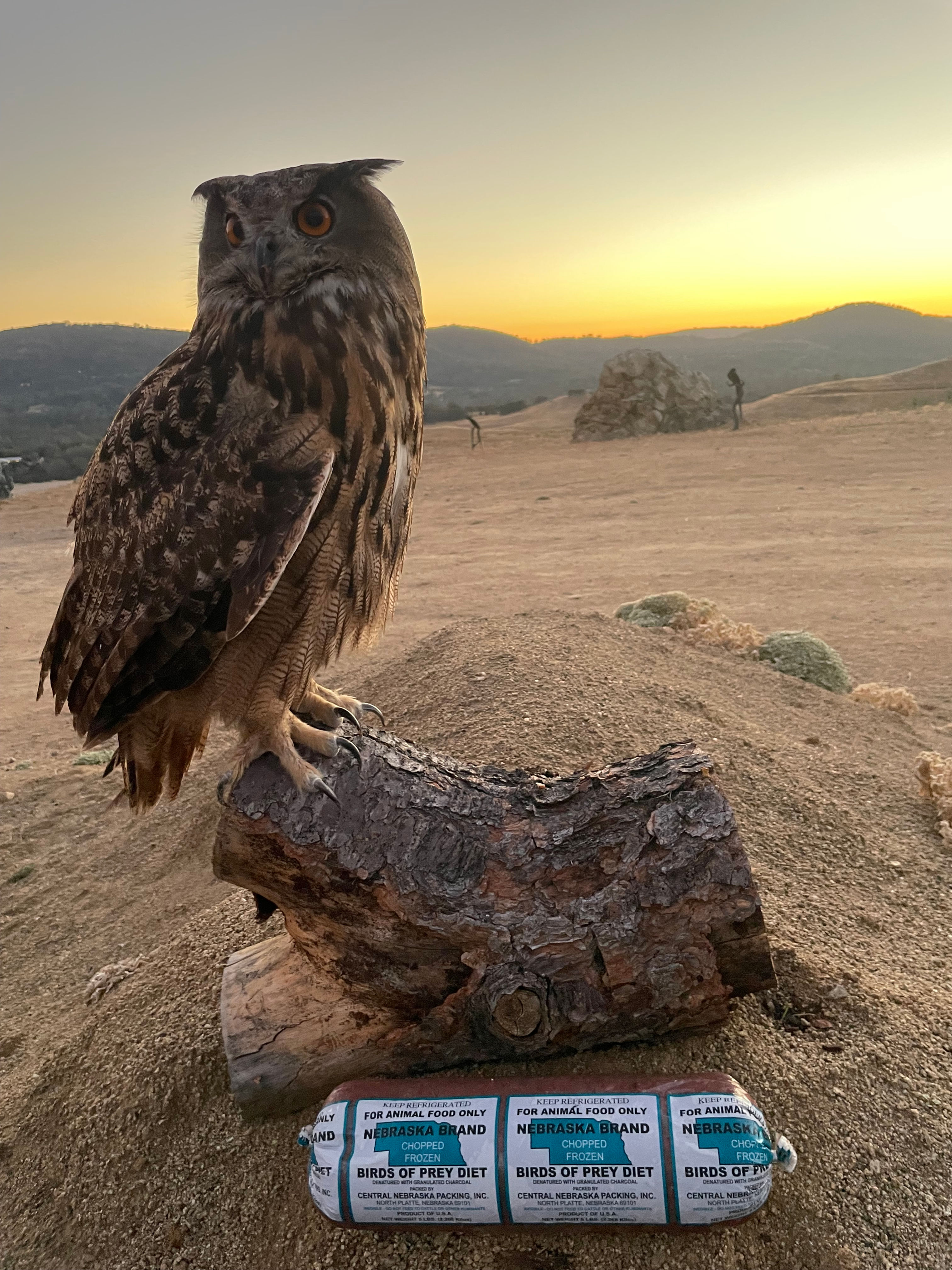 Donate: 5 lb container of Bird of Prey Diet