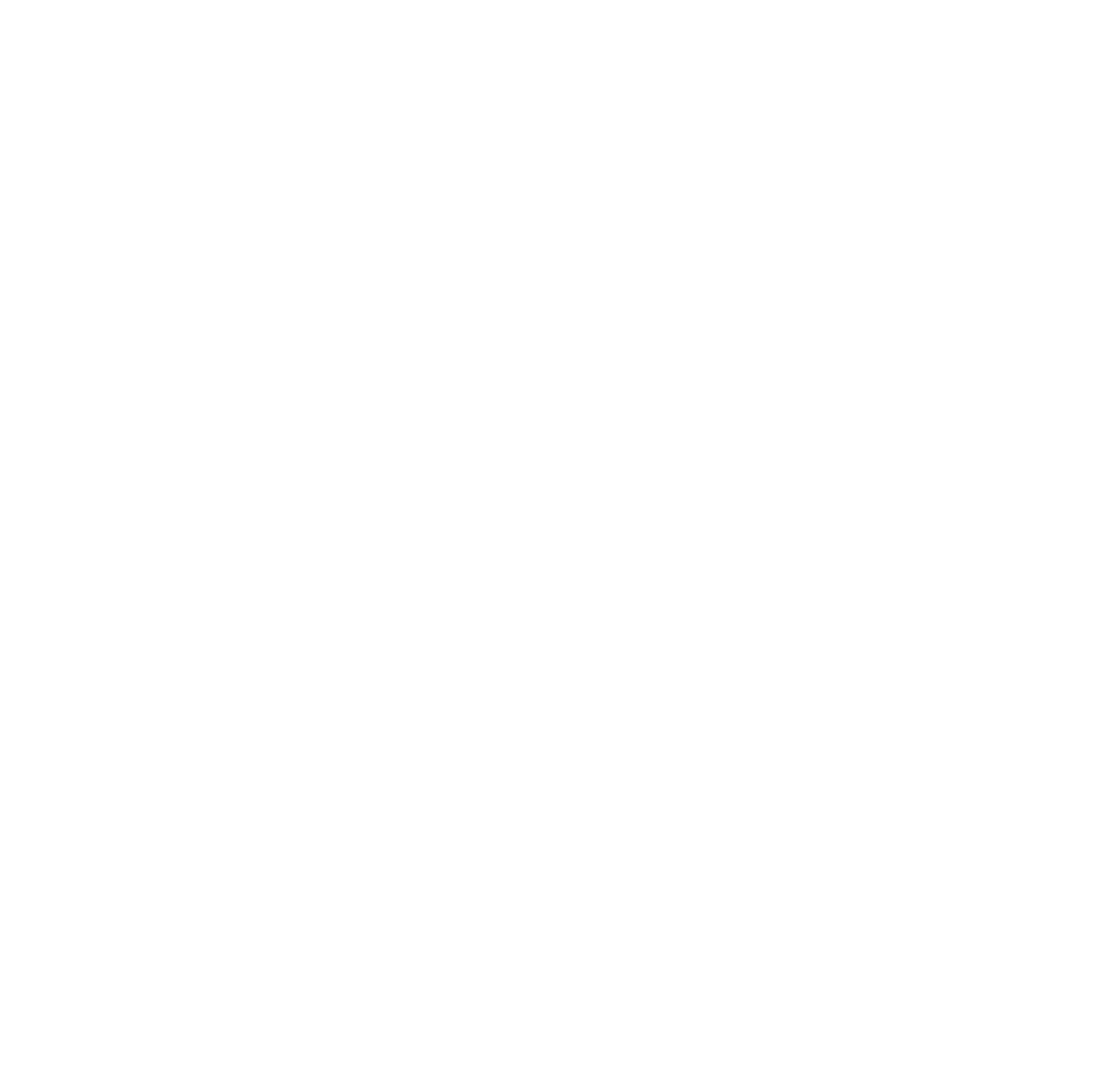 20241129_cg logo white copy.png