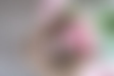 Understanding Hydration, Barrier Balance, and Botanical Care