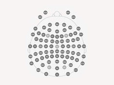 EEG features