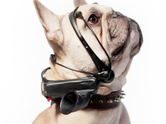 Top 7 Weirdest EEG Applications
