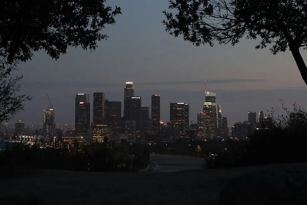 Dark dusk silhouette of a far-off skyline framed by tree branches, private jet catering at John Wayne Airport (SNA / KSNA), Santa Ana, United States