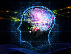 What is a Brain Computer Interface?